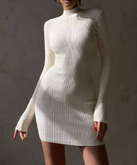 Turtleneck Long Sleeve Slim Mini Dress - BEYAZURA.COM