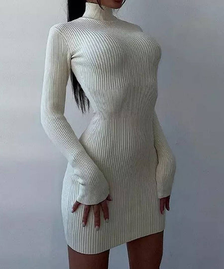 Turtleneck Long Sleeve Slim Mini Dress - BEYAZURA.COM