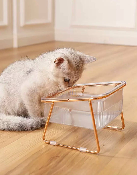 Food Water Bowl For Dog And Cat Pets - BEYAZURA.COM