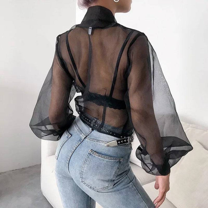 Sheer Lantern Sleeve Blouse in Black - BEYAZURA.COM