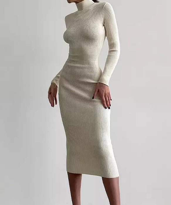 Turtleneck Long Sleeve Slim Midi Dress - BEYAZURA.COM
