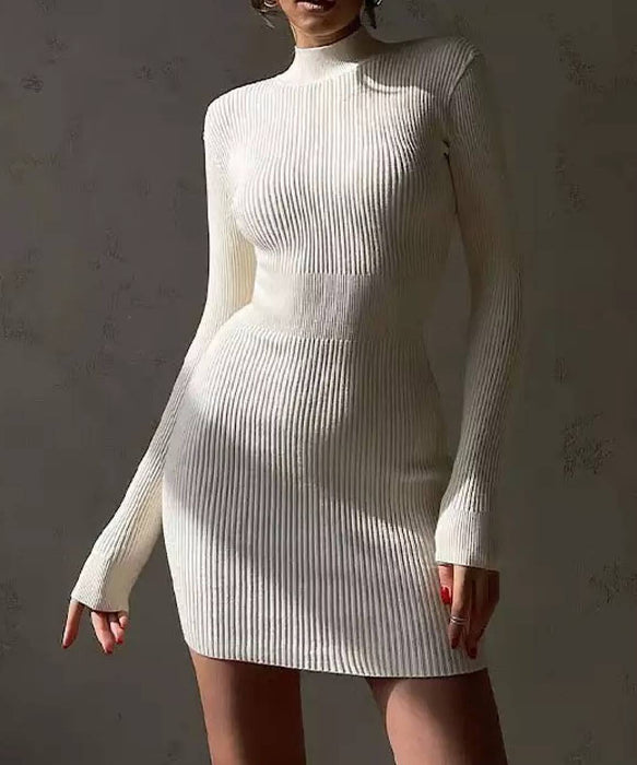 Turtleneck Long Sleeve Slim Midi Dress - BEYAZURA.COM